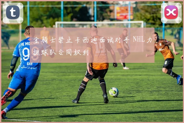 金骑士禁止卡西迪面试对手 NHL力挺球队合同权利